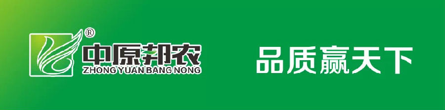 熔煉團隊 共贏未來丨大區(qū)經理2020烽狼特訓拓展活動完美落幕