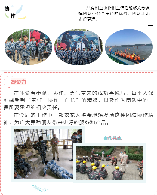 熔煉團隊 共贏未來丨大區(qū)經理2020烽狼特訓拓展活動完美落幕
